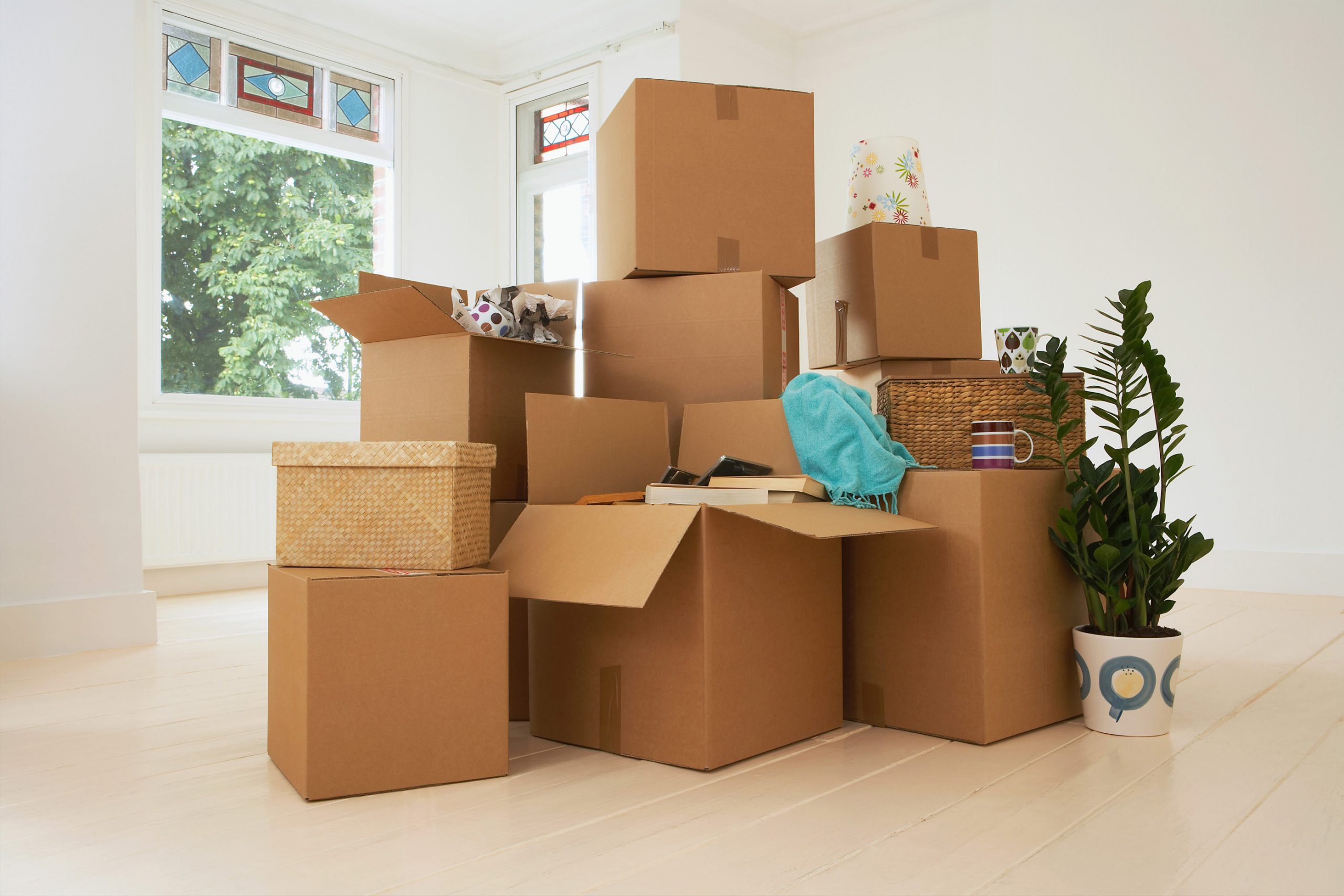 Moving Boxes and Removals
